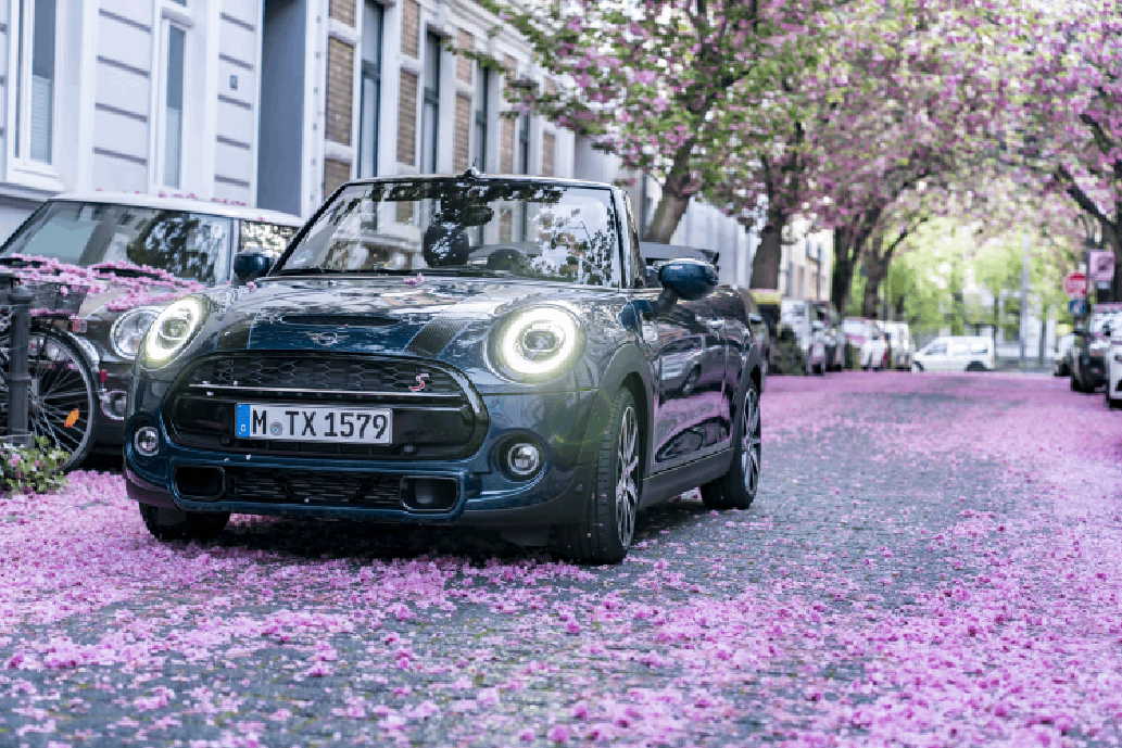 MINI Cabrio cerezo en flor MINI Cabrio cerezo en flor